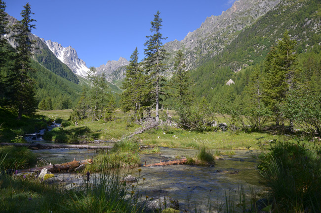 les réserves naturelles